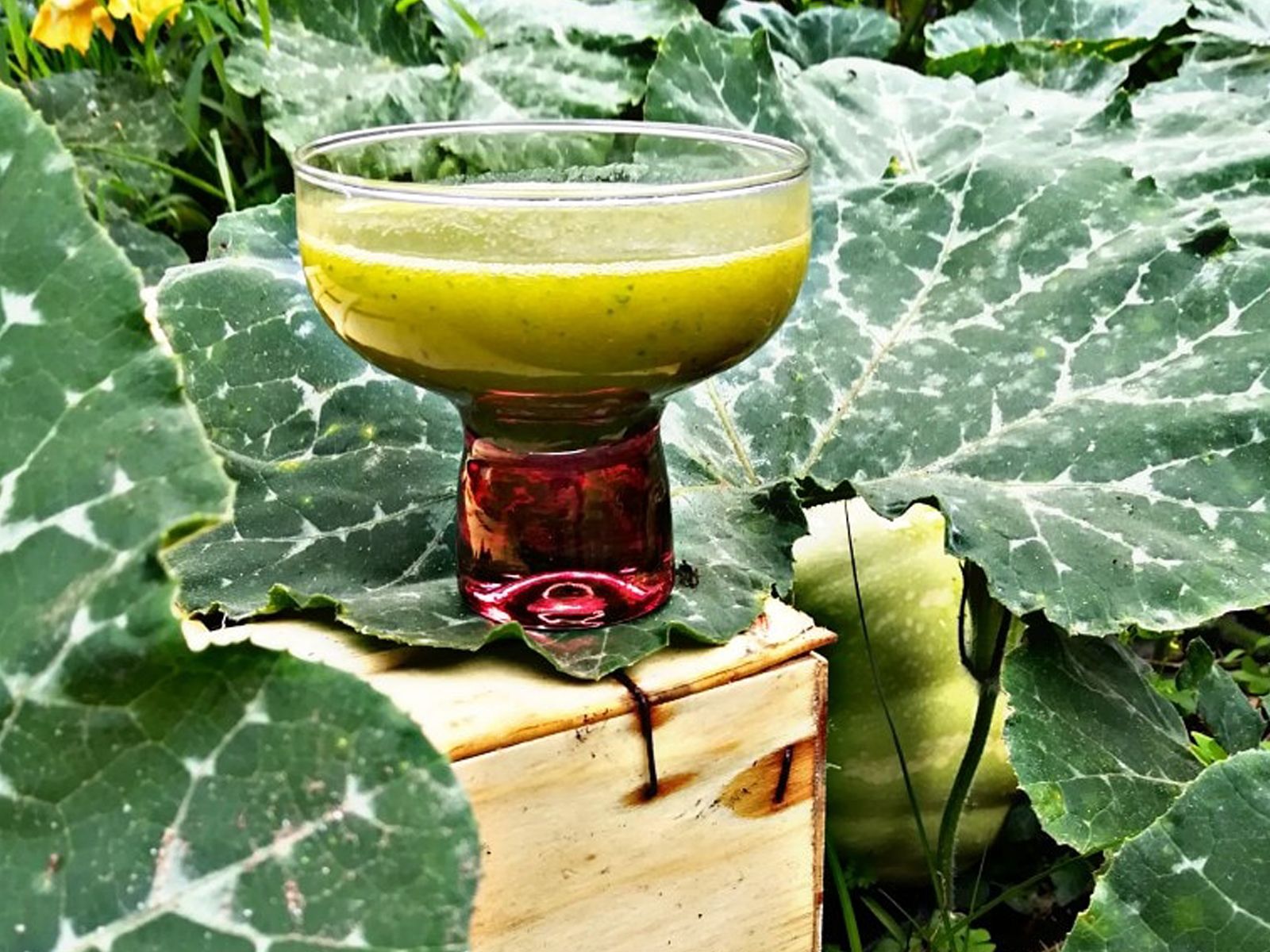 Batido en el huerto